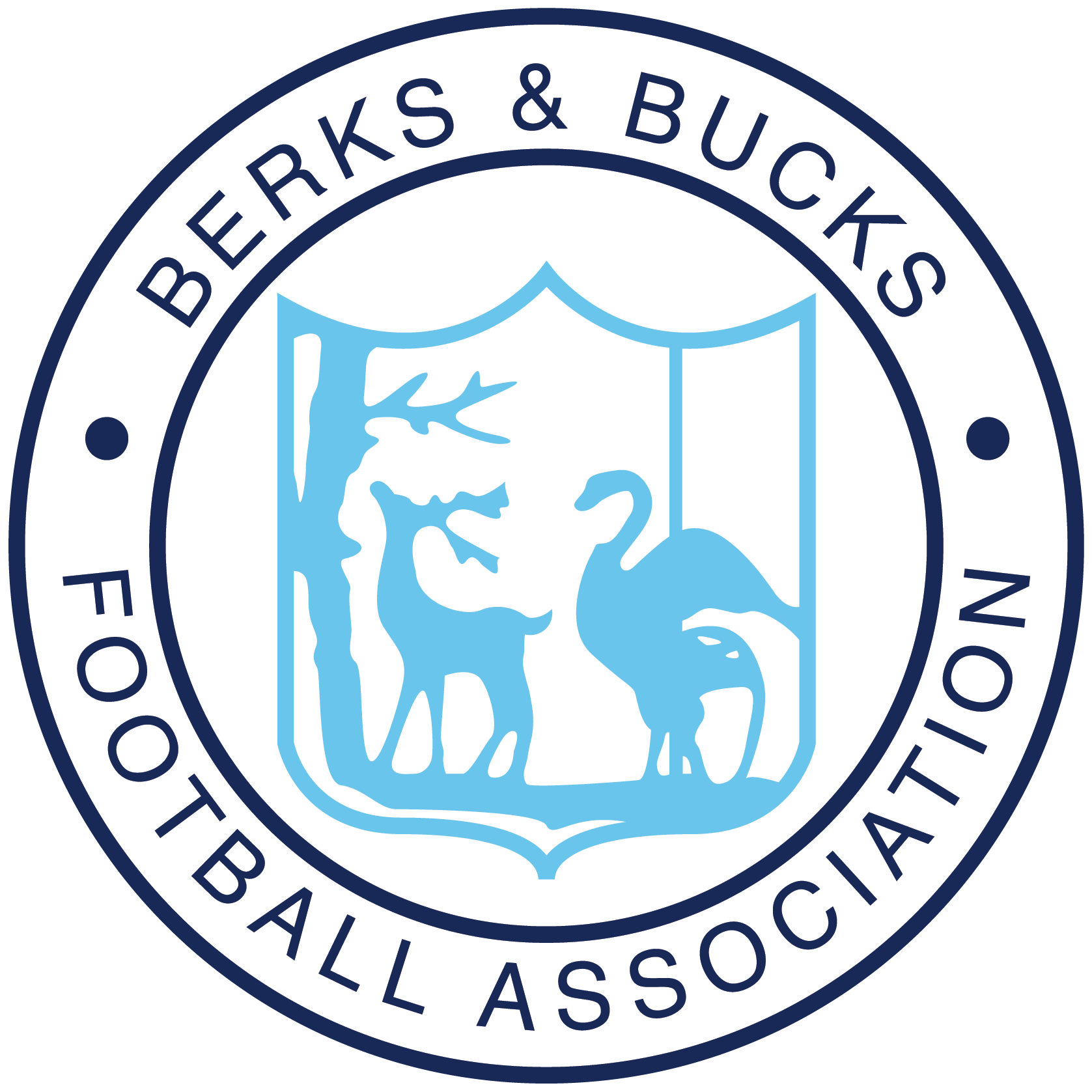 County FA Badge - Iron on Yourself - A&H International