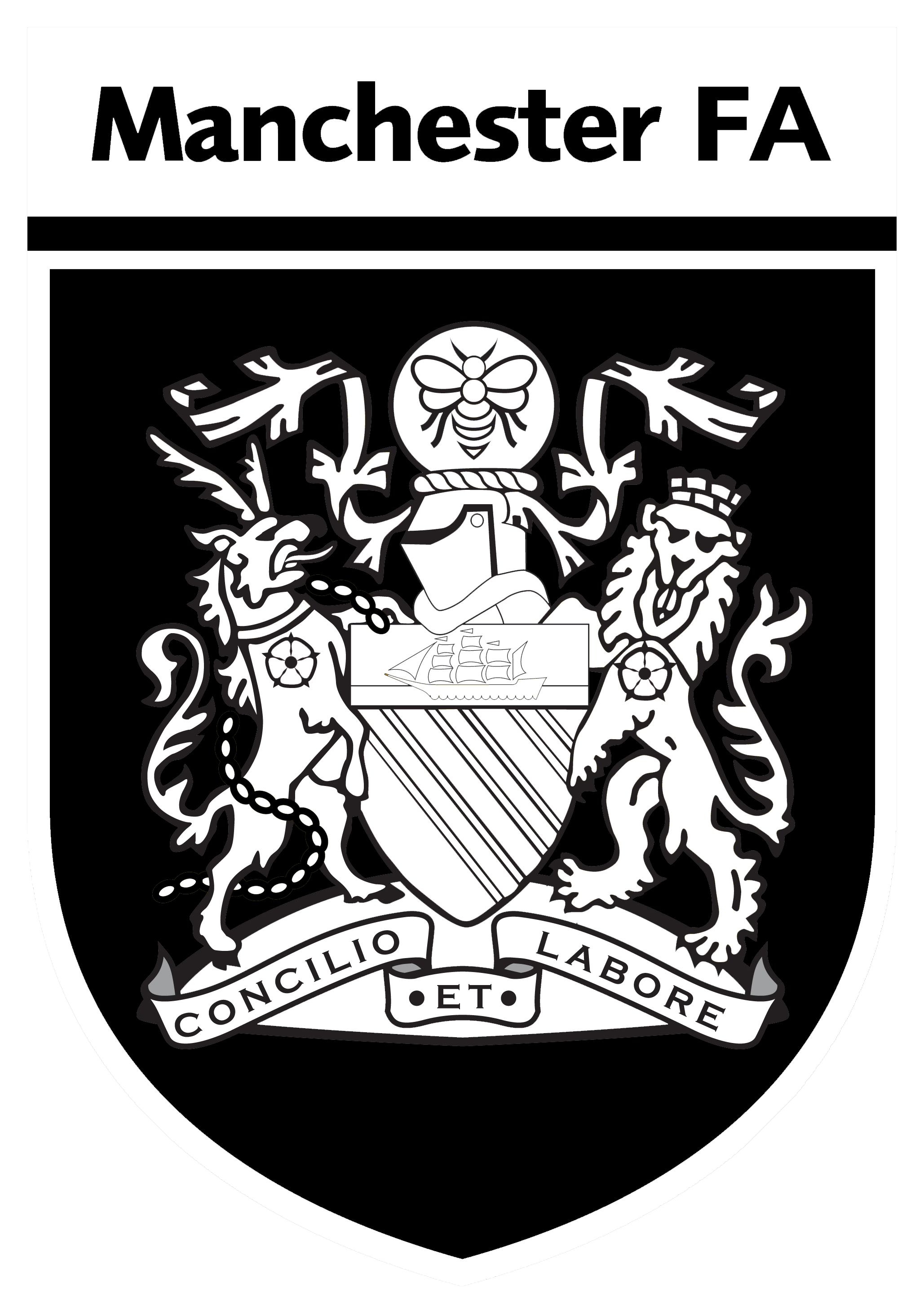 County FA Badge - Iron on Yourself - A&H International