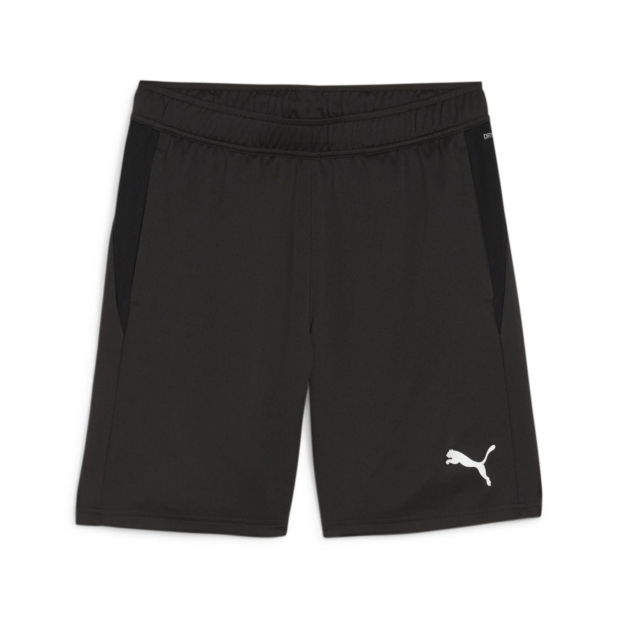 Puma Referee Training Shorts