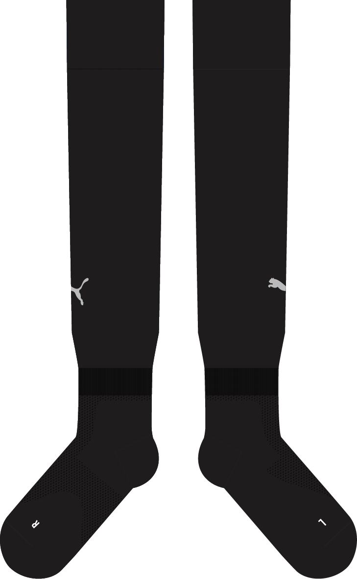 Puma Referee Socks