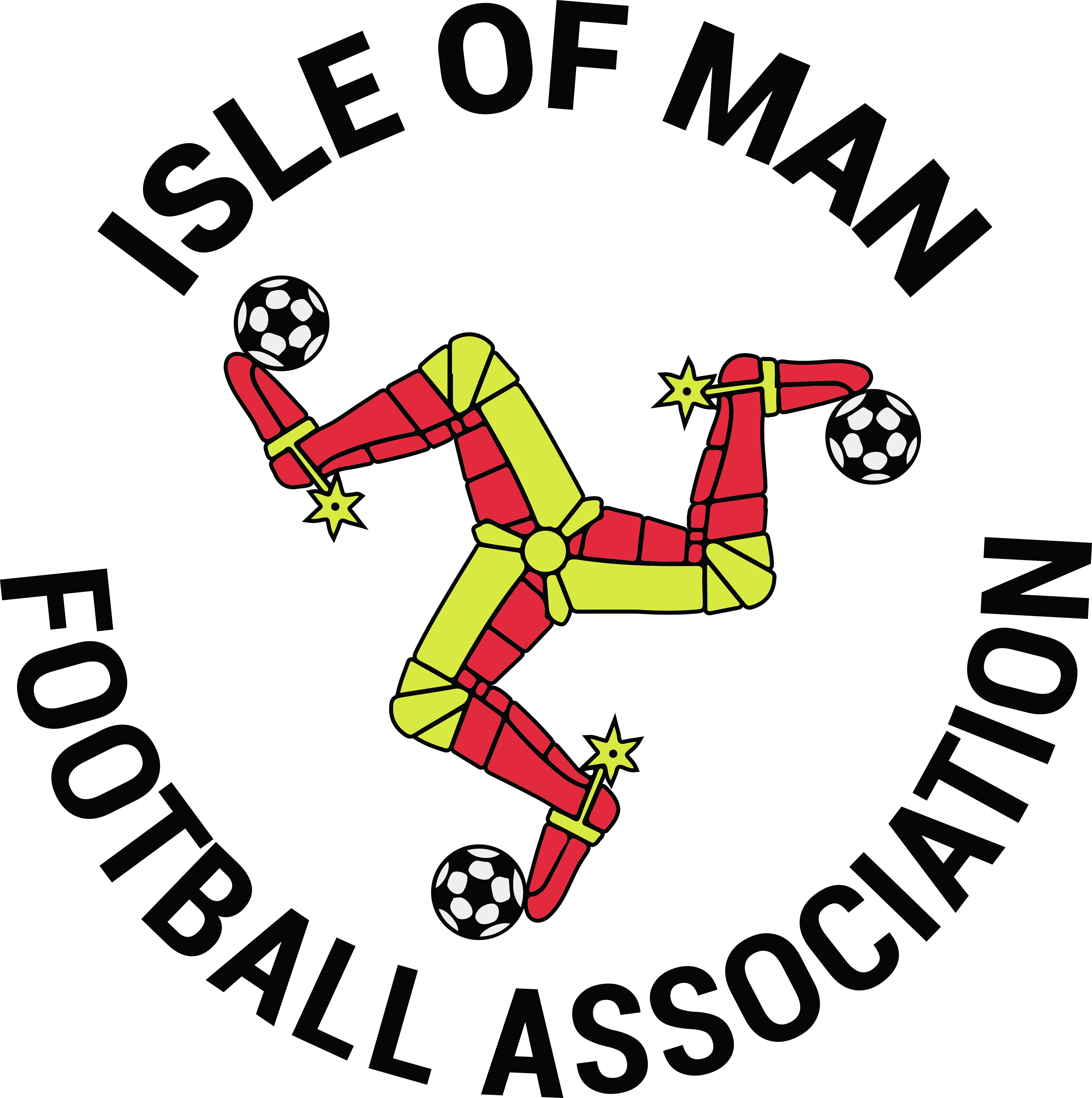 County FA Badge - Iron on Yourself - A&H International