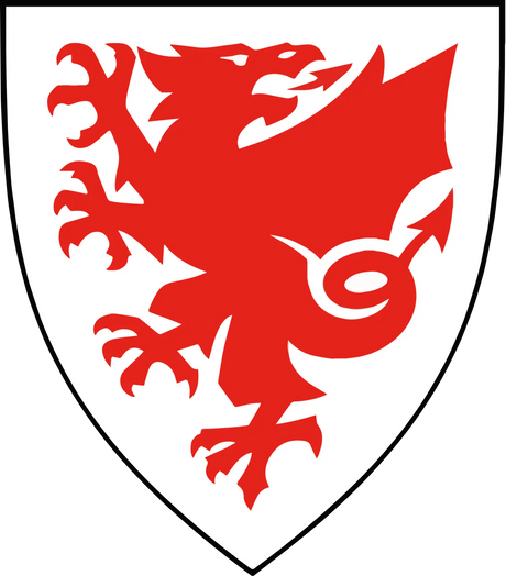 Wales FA referee badge: red dragon on a white shield