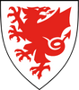 Wales FA referee badge: red dragon on a white shield