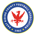 East Riding County FA referee badge: blue circle with a red eagle, dated 1902