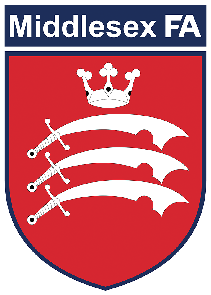 County FA Badge - Iron on Yourself - A&H International